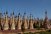 A view of the massive cluster of pagodas that make up the forest like Kakku pagoda complex. Shan State, Burma (Myanmar). 